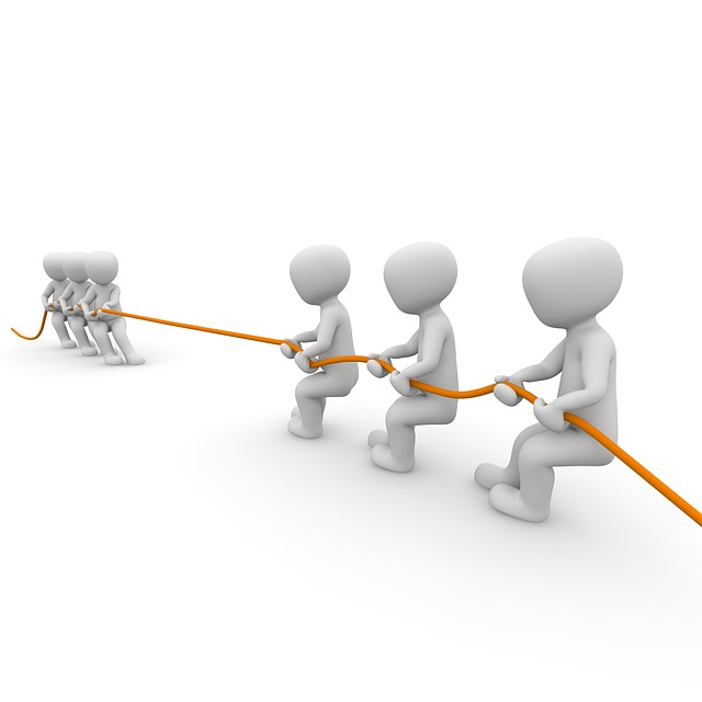 Parental Alienation in Adoption